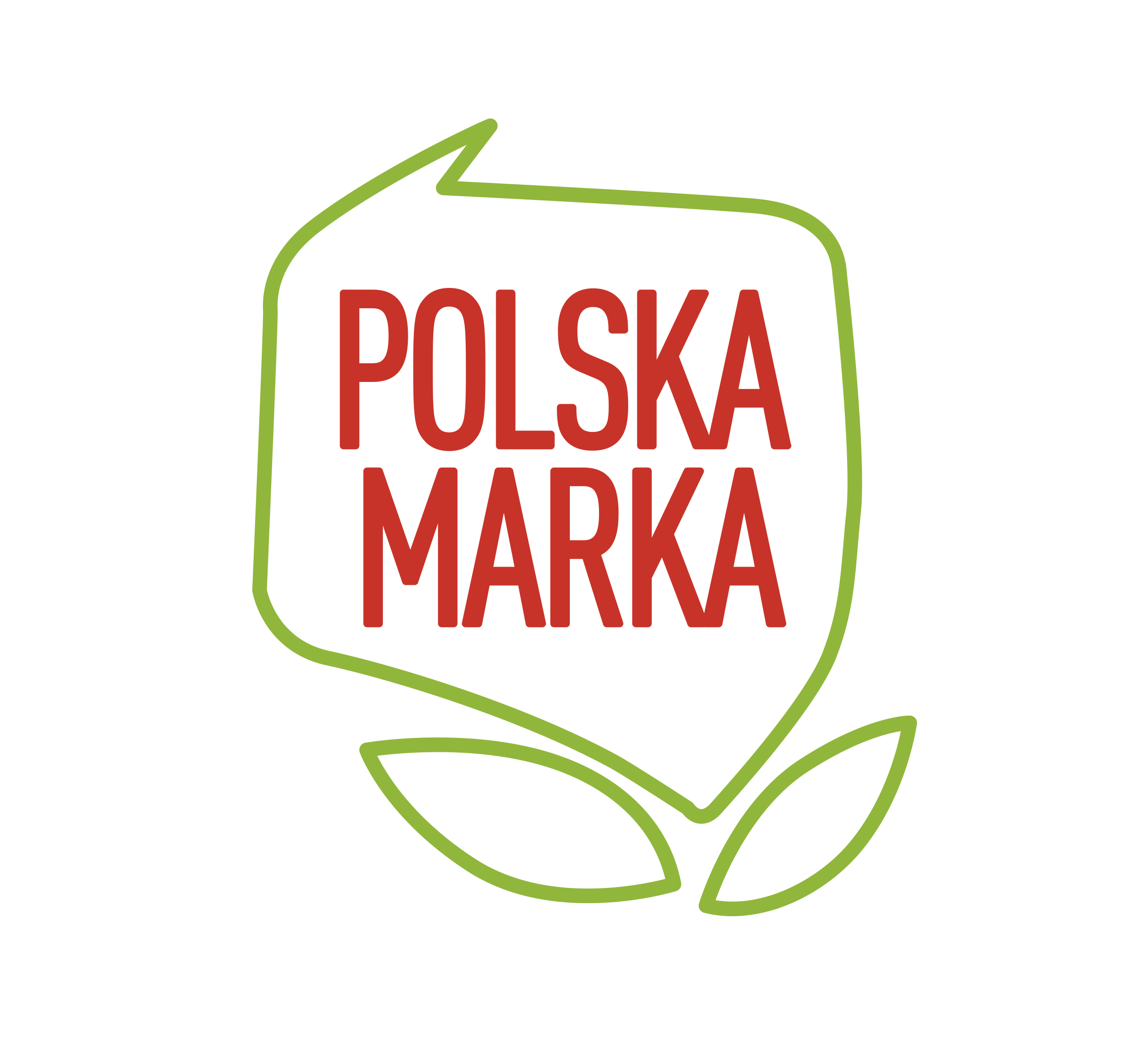 Polski producent